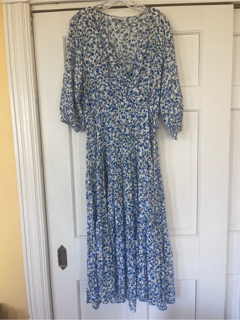 Petal & Pup Blue and White Floral Maxi Dress
